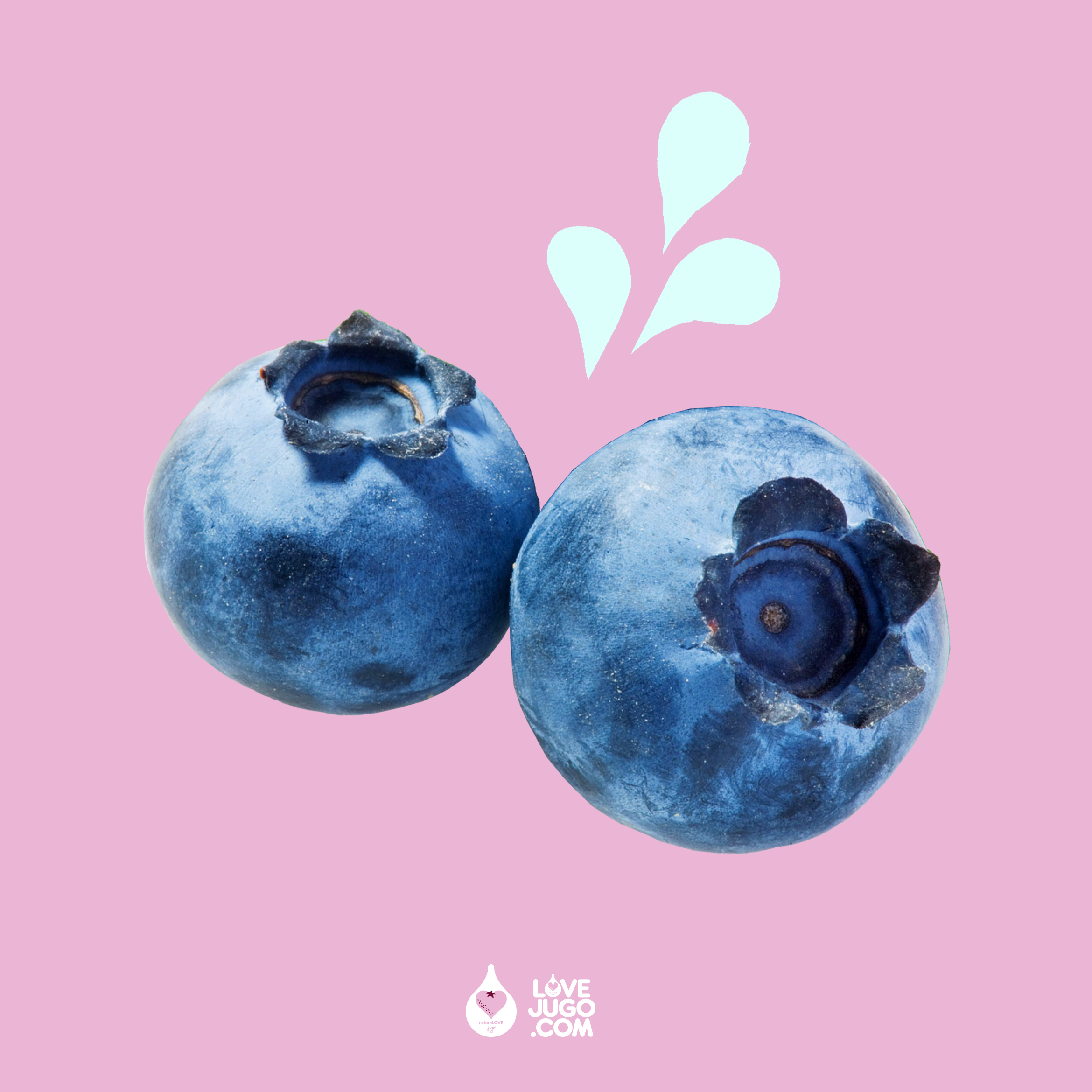 blueberries_@72